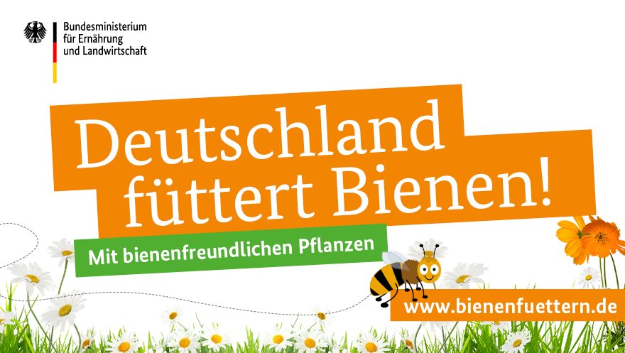 Jetzt mitmachen und Bienen füttern!