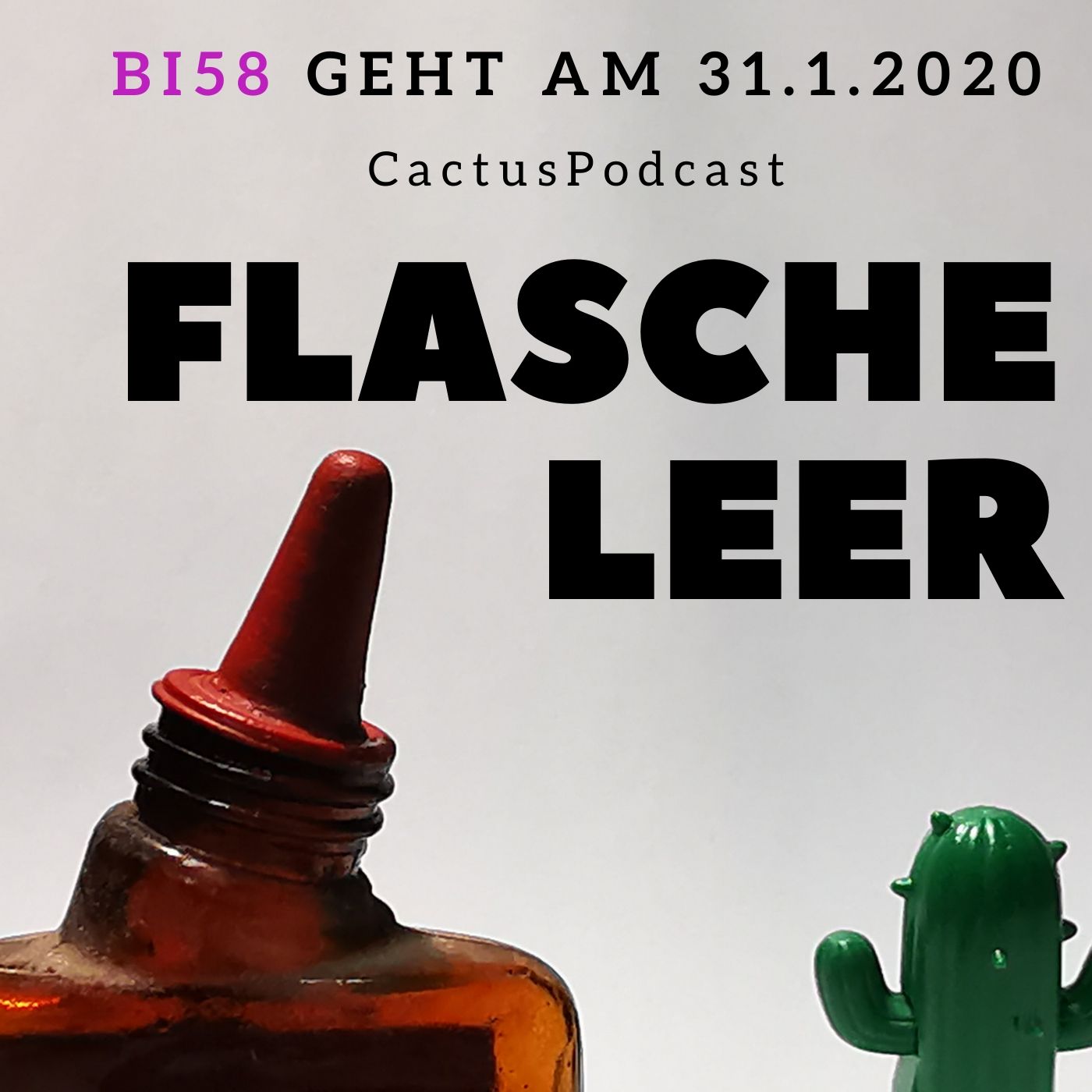 Kakteen Haage Kakteen In Grosser Auswahl Kaufen In Der Altesten