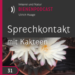 Bienengespräche - ein Podcast über Bienen und ganz viele Kakteen