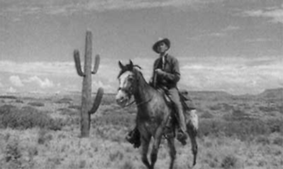 from the left: Cactus (Carnegiea gigantea), horse (Equus ferus caballus), James Stewart (Homo sapiens sapiens); scene from the Western 