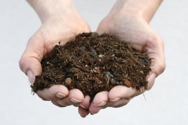 Epiphytes soil no. 04 - 45 l - [Erdbox] 