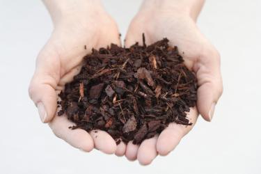 Pine-bark small grain 7-15 mm - 5 l 