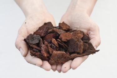 Pine-bark medium grain 20 -25 mm - 5 l 