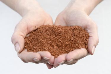 Terracotta Dust 0 - 2 mm 5 l 