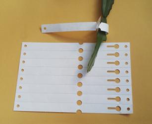 Schlaufenetiketten 160 x 13 mm - 100 Stück 