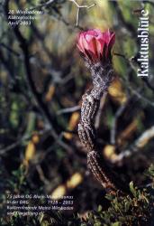 Kaktusblüte 2003 