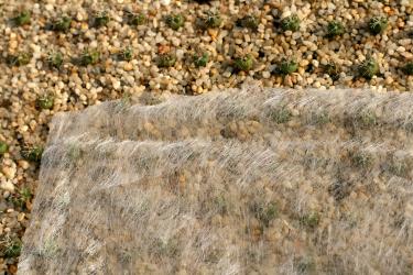 Horticultural fleece 