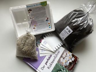 Aussaatset für Einsteiger 1 - Kakteen 