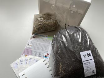 Sowing kit for beginners 4 - Mesembs 