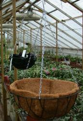Hanging Baskets 25 cm 