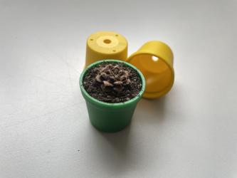 Töpfe rund 3 cm, Minitöpfe - gelb 