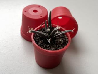 Töpfe rund 3 cm, Minitöpfe - rot 