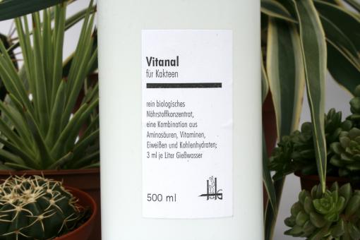 Vitanal - organic Cacti-Nutrition fluid 500 ml 