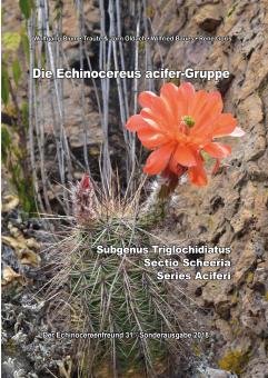 Echinocereus - Die Echinocereus-acifer-Gruppe - Blum, Oldach, Baues, Goris - Der Echinocereusfreund 