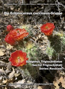 Echinocereus - Die Echinocereus-coccineus-Gruppe - Blum, Oldach, Baues, Ruinaard - Der Echinocereusfreund 