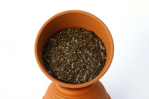 Propagation-soil - Sowing mix - no. 06 - 5l 