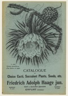 Kakteen-Haage-Katalog Titelblatt Faksimile Reprint 1909 