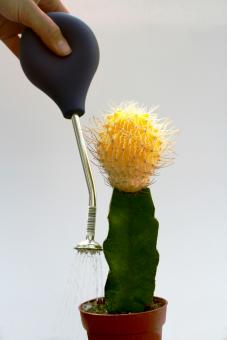 Ball-shaped watering tool 