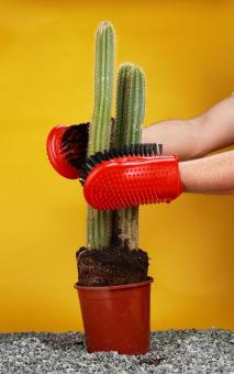 Cacti gloves - bristles 3 cm 