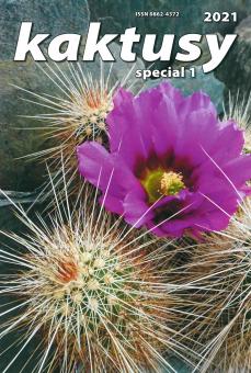 Kaktusy Special 2021/1 Die Echinocereen von Arizona 