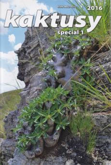 Kaktusy Special 2016/1 Pachypodium auf Madagaskar 
