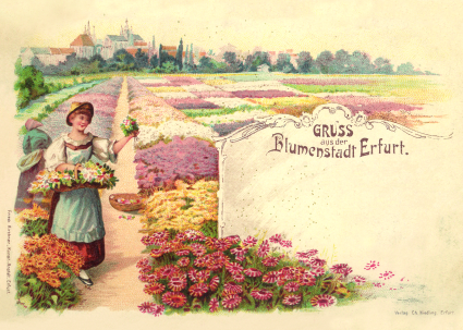Postcard 2 - greatings from Erfurt capital of flowers 