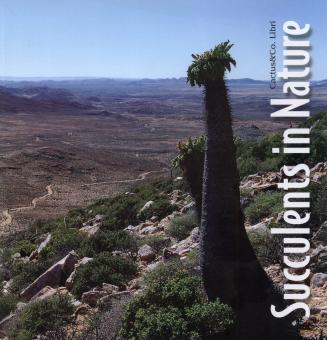 Succulents in Nature - Guglielmone 