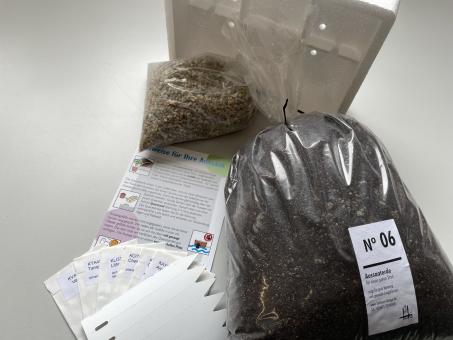 Sowing kit for beginners 4 - Mesembs 
