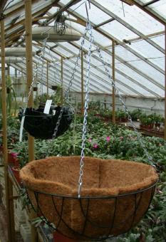 Hanging Baskets 25 cm 