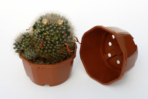 Schalen achteckig 12 cm / 6,5 cm hoch 