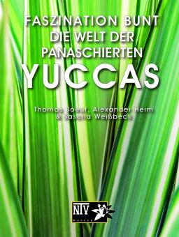 Panaschierte Yucca - Thomas Boeuf 