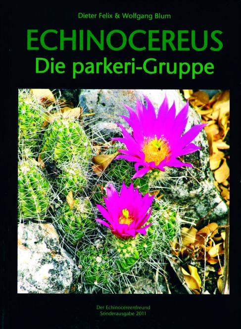 fargesia rufa giftig Nicht wuchernder Bambus 'Rufa' kaufen | Fargesia 'Rufa' main image 1