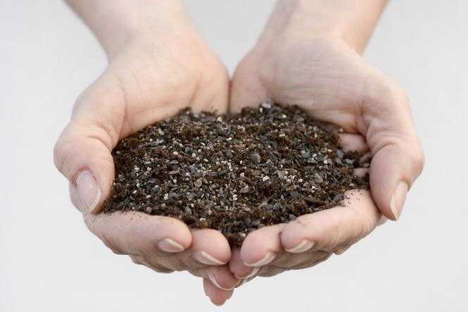 propagation soil no. 06 - sowing mix - 2 l 