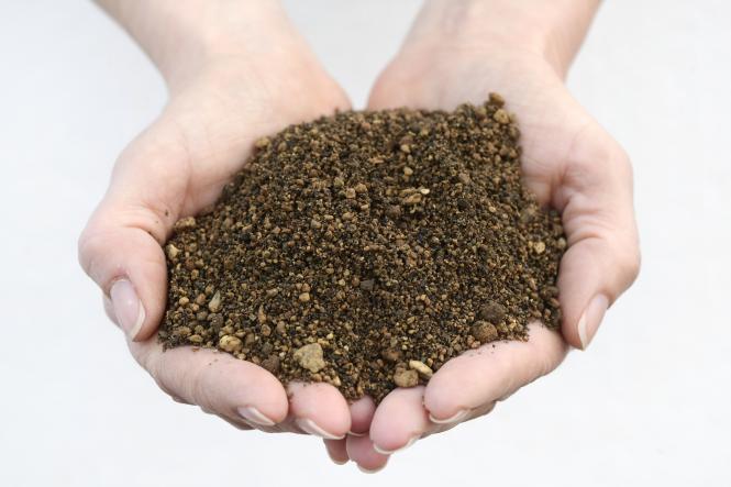 Pumice 0-5 mm - Typ P [Erdbox] 20 l 