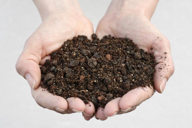 Kakteenerde für winterharte Kakteen und andere Sukkulente no. 07 - [Erdbox] 25 l 