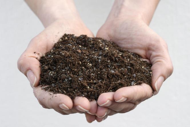 Kakteenerde no. 01 - 10 l 