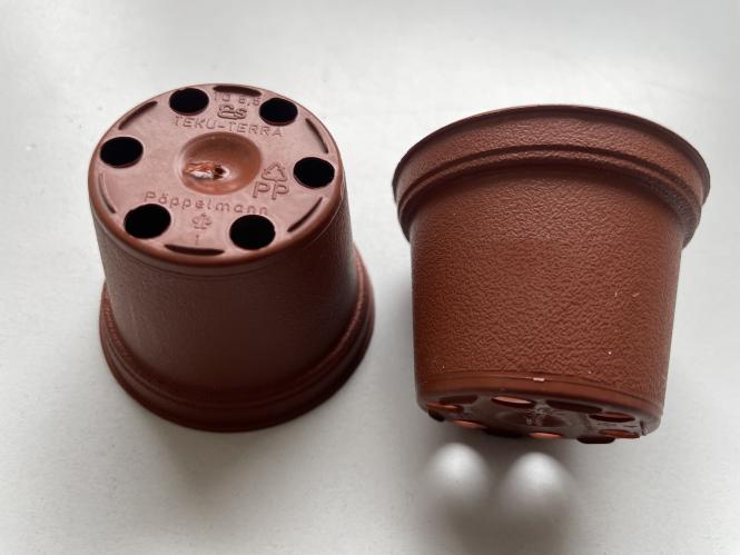 Töpfe rund 5,5 cm 