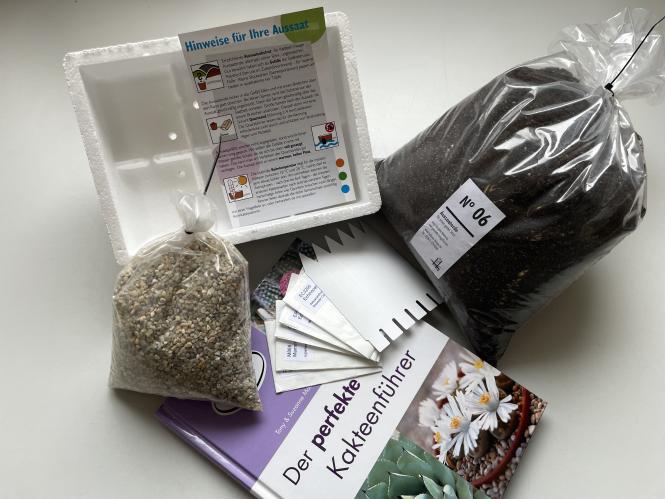 Aussaatset für Einsteiger 1 - Kakteen 