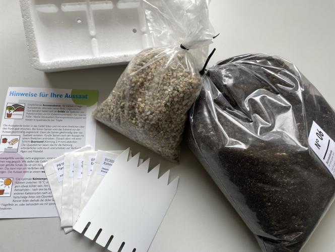 Aussaatset für Einsteiger 2 - Kakteen 