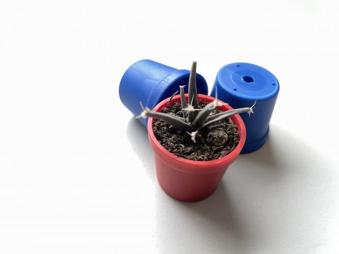 Pots round 3 cm, mini pots - blue 