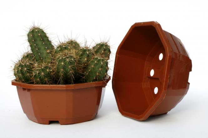 Octagonal Bowls 16 cm / 6,5 cm hoch 