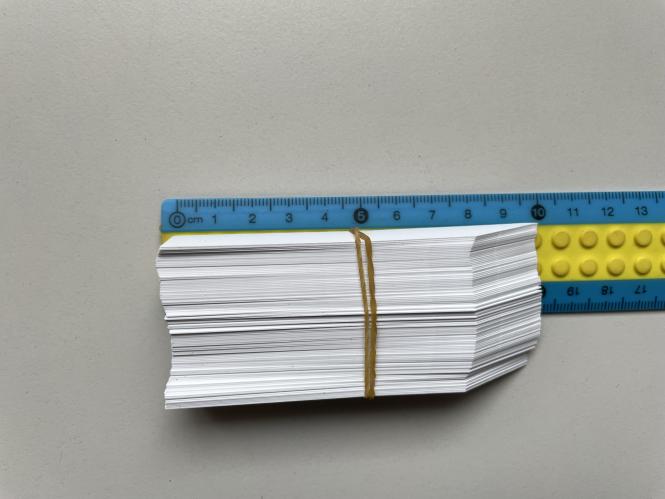 Stecketiketten 100 x 16 mm - 100 Stück 