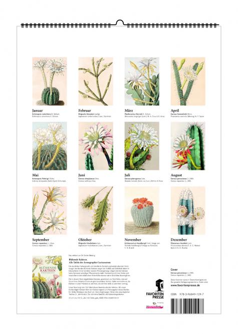 Blühende Kakteen - Kalender 2024 